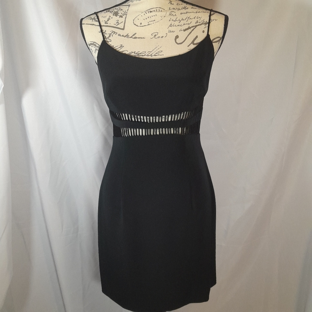 Vintage Cache dress